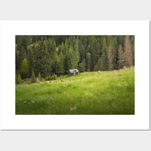 Picturesque Carpathians Scene Posters and Art